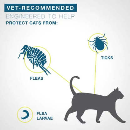 FLEA AND TICK COLLAR FOR CATS 8 MONTH PROTECTION-Vet-Recommended