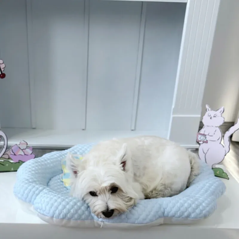 Stylish pet bed