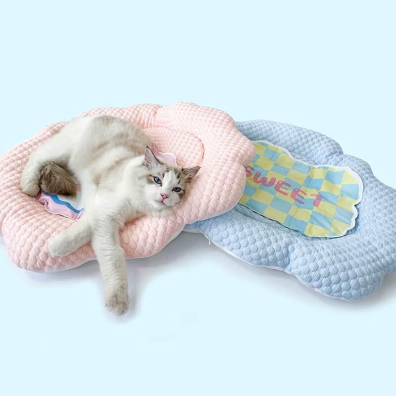 Stylish pet bed