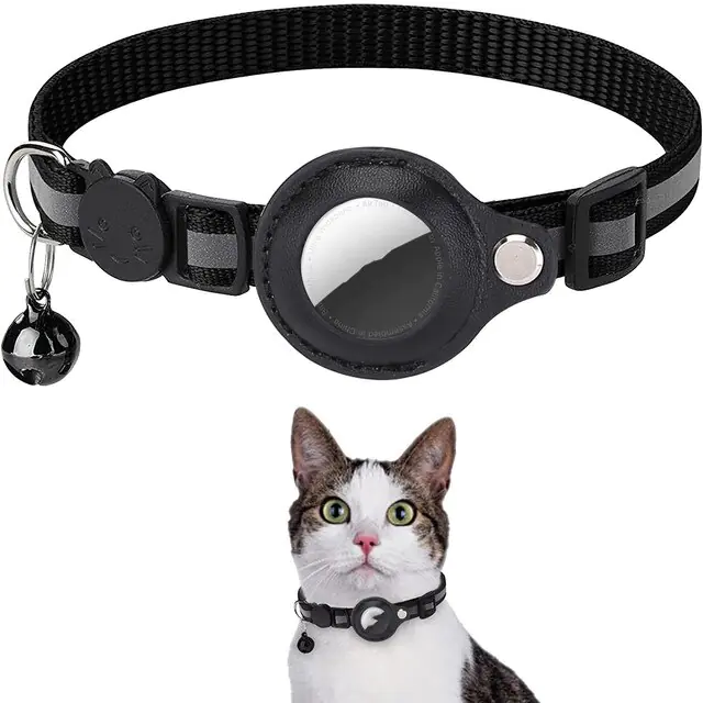 Fashion cat collar