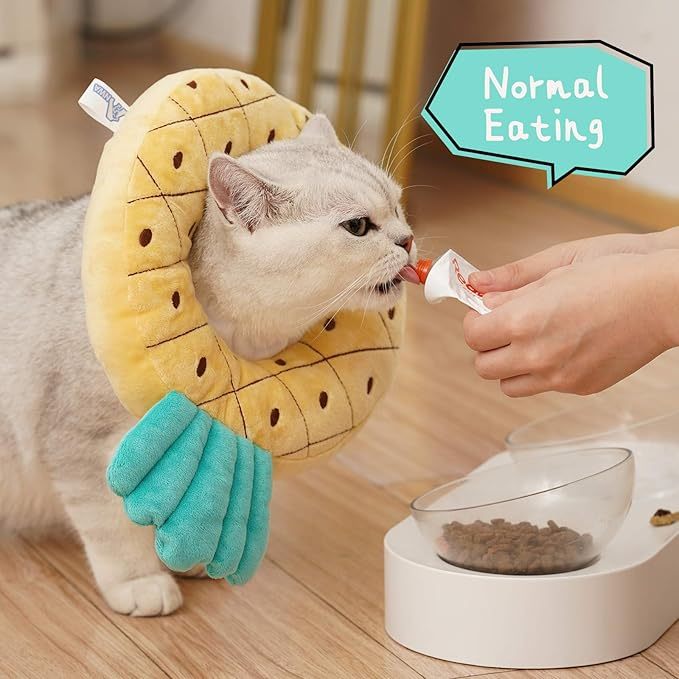 Adjustable Cat Recovery Collar