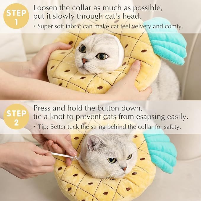 Adjustable Cat Recovery Collar