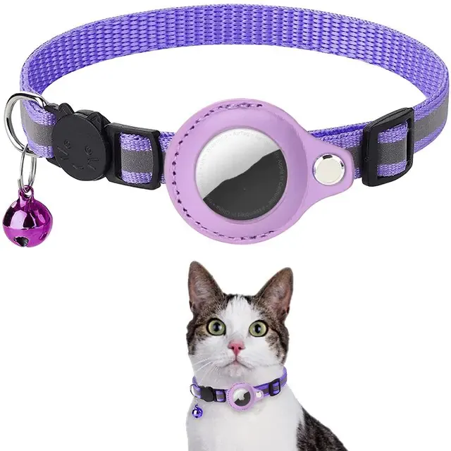 Fashion cat collar