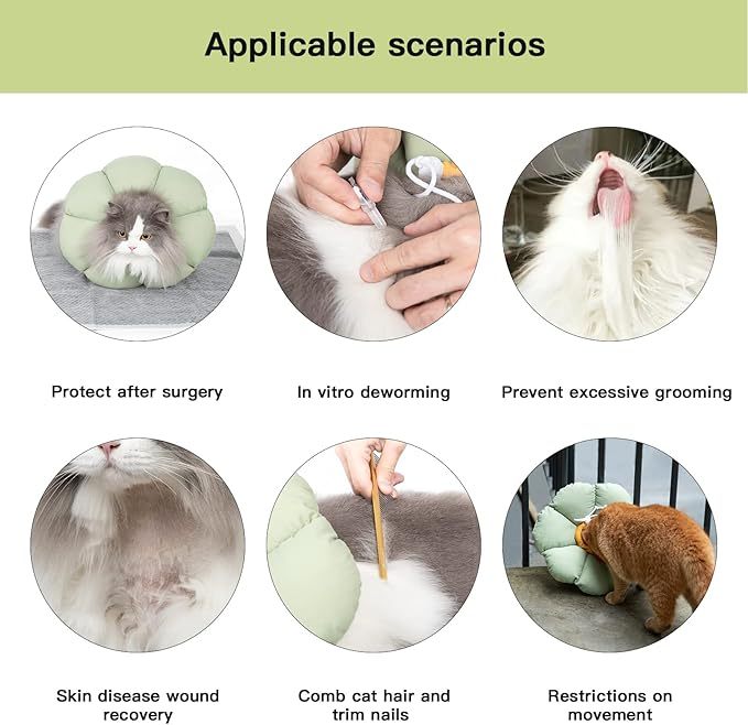 Cat Cone Collar - Cute, Waterproof Recovery Collar