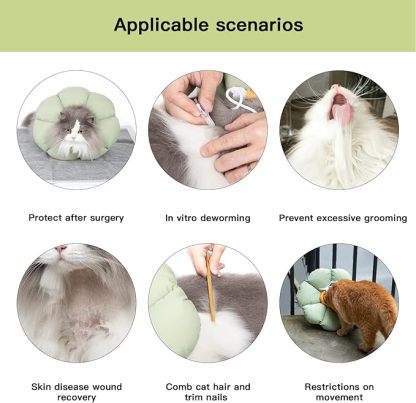 Cat Cone Collar - Cute, Waterproof Recovery Collar