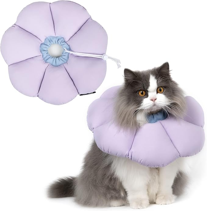 Cat Cone Collar - Cute, Waterproof Recovery Collar