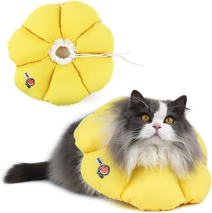 Cat Cone Collar - Cute, Waterproof Recovery Collar