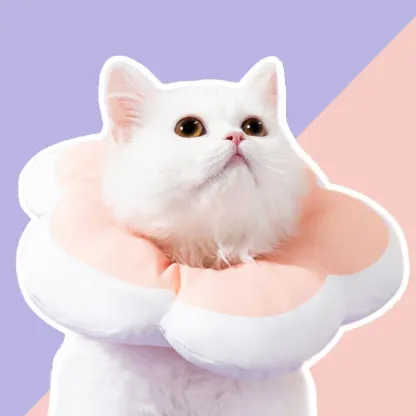 Flower Pet Collar Adjustable