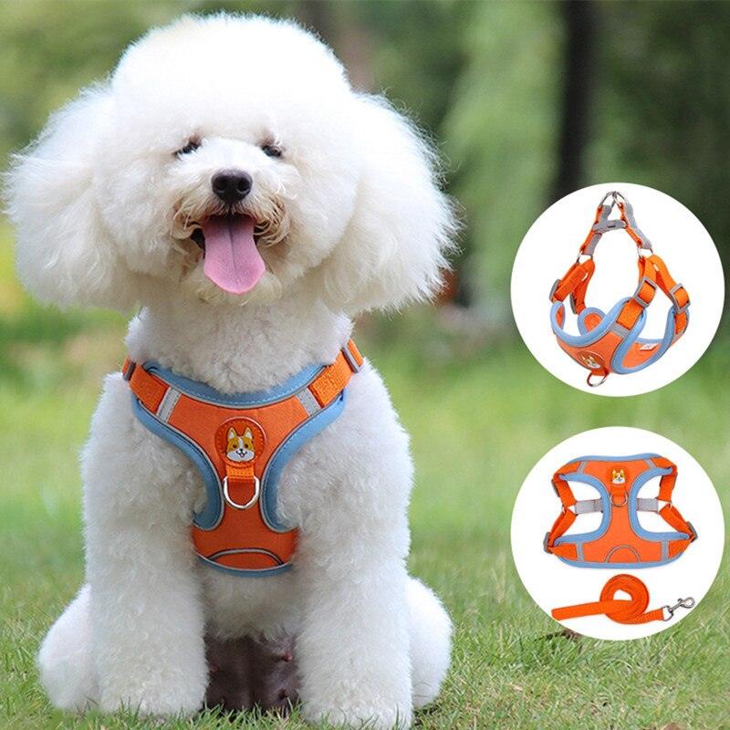 Colorful Dog Harness and Leash Combo