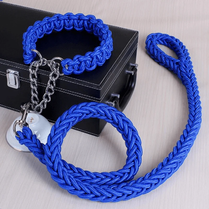 dog collar leash