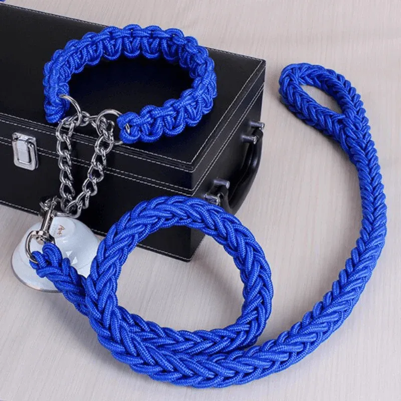 dog collar leash