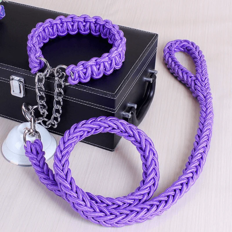 dog collar leash