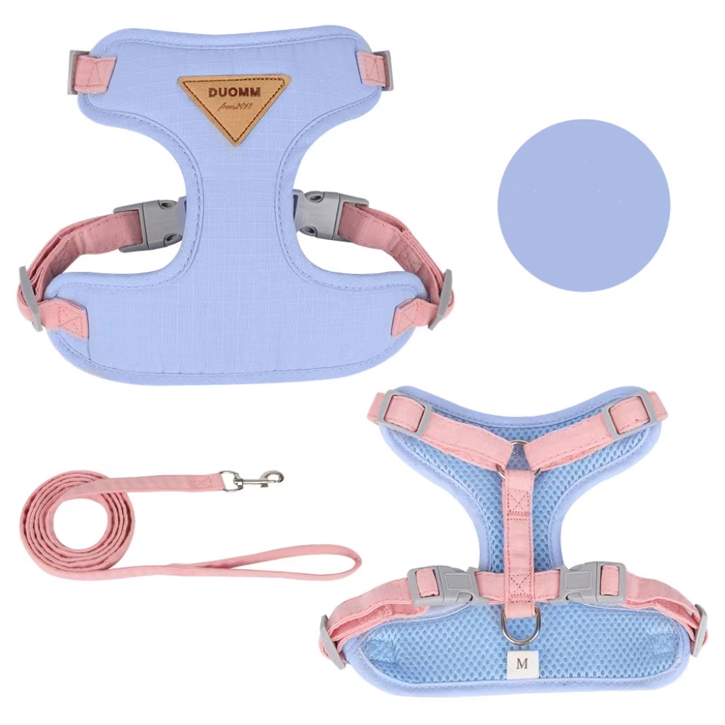 Small Dog Pet Leash