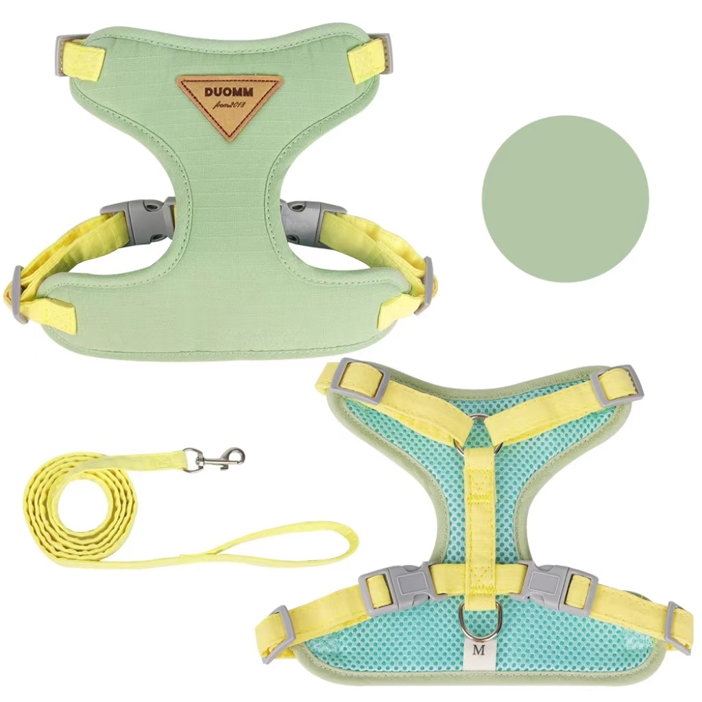 Small Dog Pet Leash