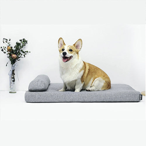 Dog Beds: Elevate Your Dog's Comfort