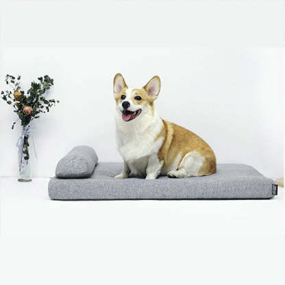 Dog Beds: Elevate Your Dog's Comfort