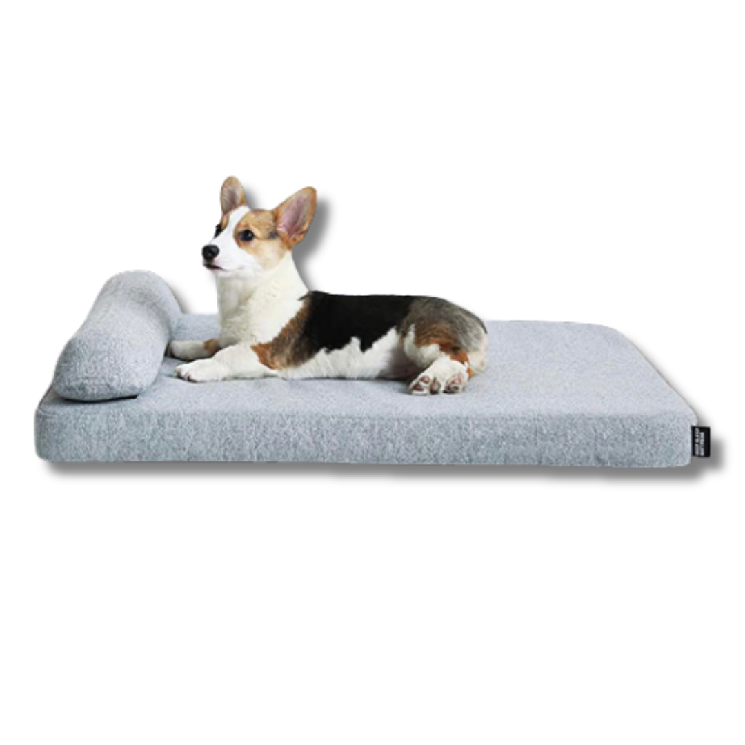 Dog Beds: Elevate Your Dog's Comfort