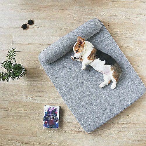 Dog Beds: Elevate Your Dog's Comfort