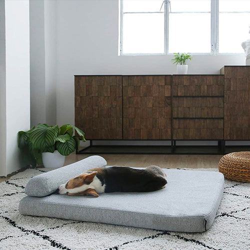 Dog Beds: Elevate Your Dog's Comfort