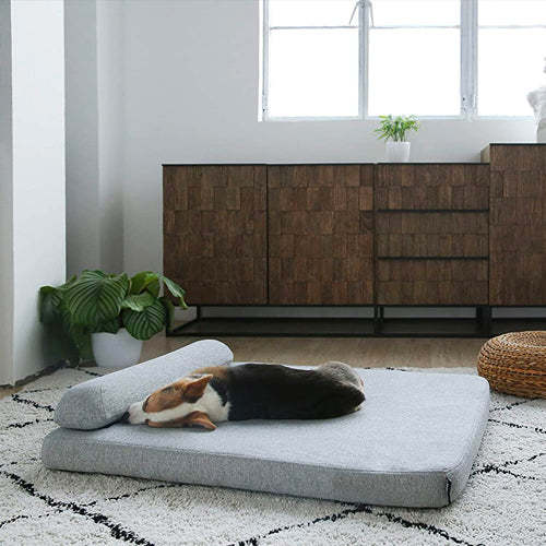 Dog Beds: Elevate Your Dog's Comfort