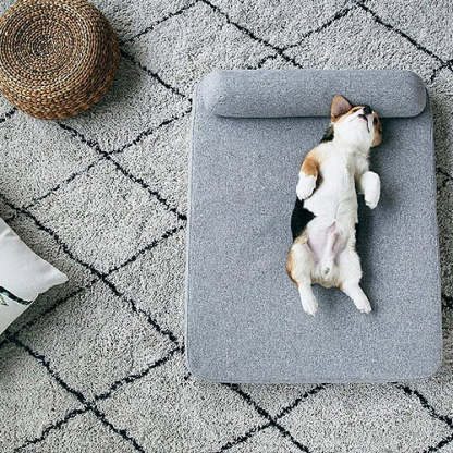 Dog Beds: Elevate Your Dog's Comfort