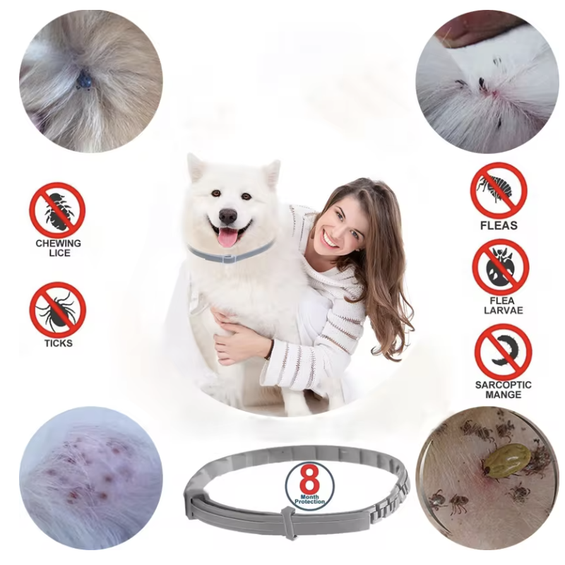 Flea & Tick Collar for Pets