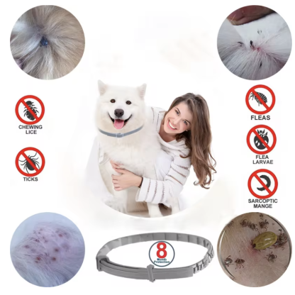 Flea & Tick Collar for Pets
