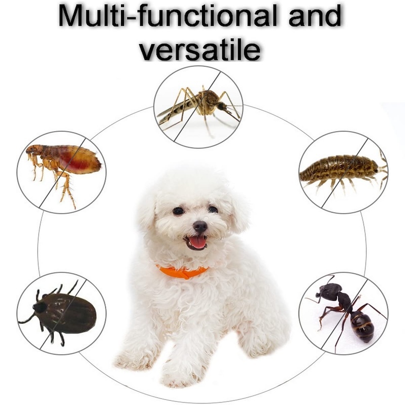 Flea & Tick Collar for Pets