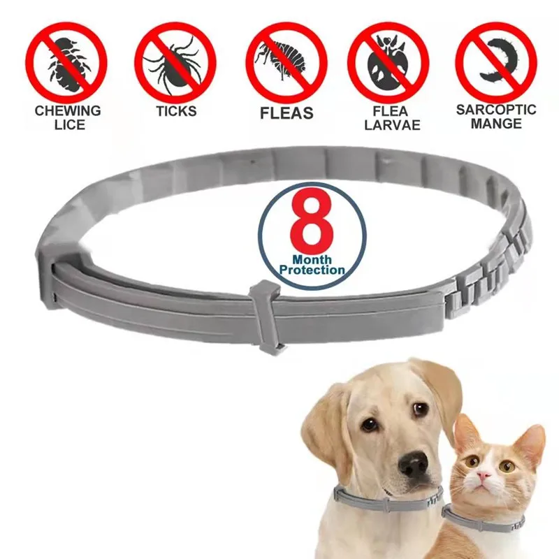 Flea and Tick Collar for Small and Large Dogs and Cats - Provides 8 Months of Protection and is Vet-Recommended