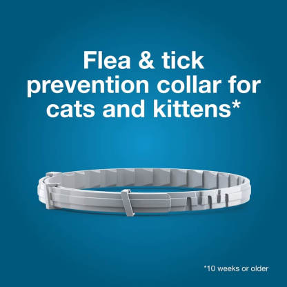 Flea and Tick Collar for Cats - Provides 8 Months of Protection and is Vet-Recommended