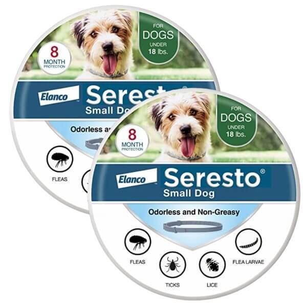 Flea and Tick Collars for Small and Large Dogs and Cats - Provides 8 Months of Protection and is Vet-Recommended