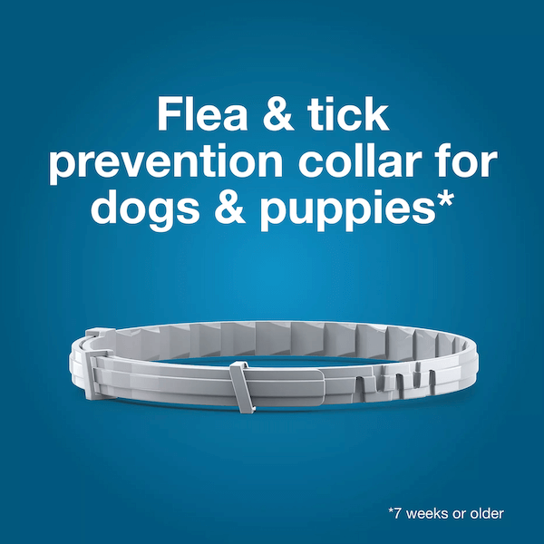 Flea and Tick Collars for Small and Large Dogs and Cats - Provides 8 Months of Protection and is Vet-Recommended