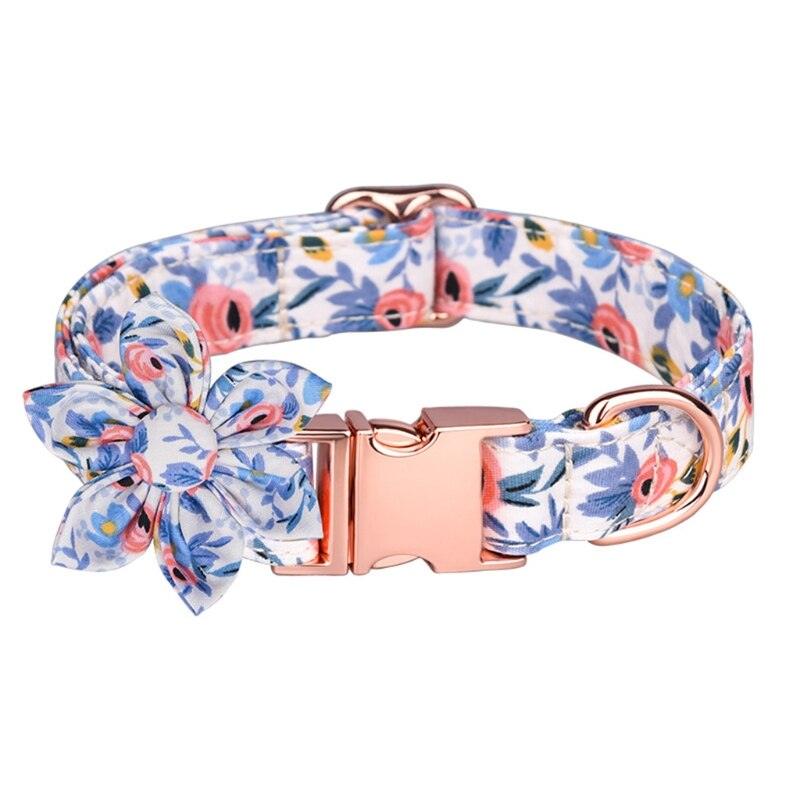 Dog Collar with Secure Buckle