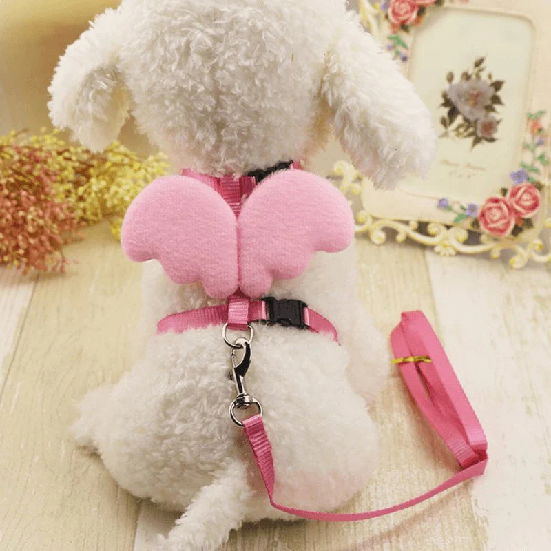 Lovely Pet Dog Collars