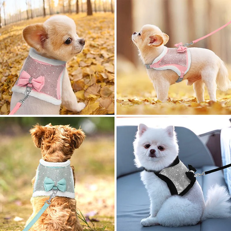 Fashion Pet Collar Vest