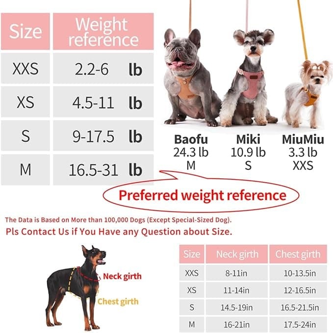 Puppy No Pull  Harness with Multifunction Dog Leash