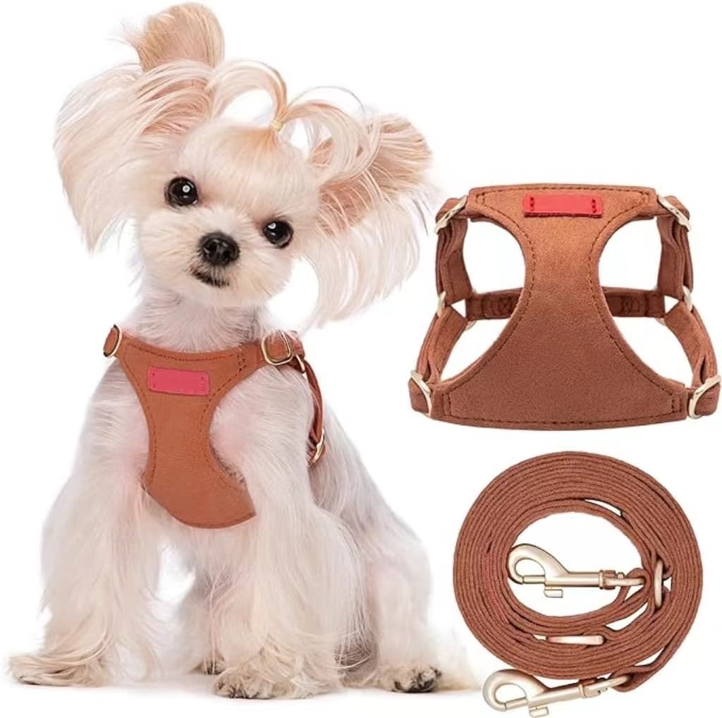 Puppy No Pull  Harness with Multifunction Dog Leash