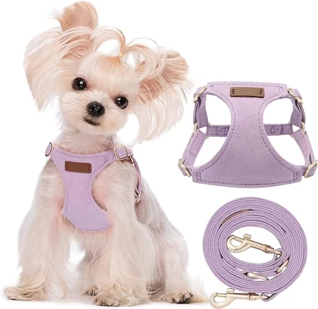 Puppy No Pull  Harness with Multifunction Dog Leash