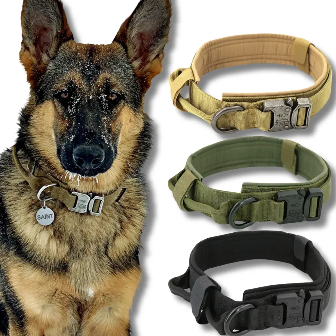 Rugged Dog Collar