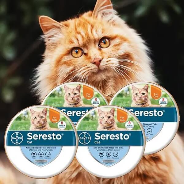 Flea and Tick Collars for Small and Large Dogs and Cats - Provides 8 Months of Protection and is Vet-Recommended