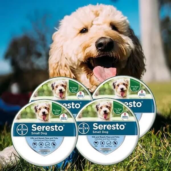 Flea and Tick Collars for Small and Large Dogs and Cats - Provides 8 Months of Protection and is Vet-Recommended