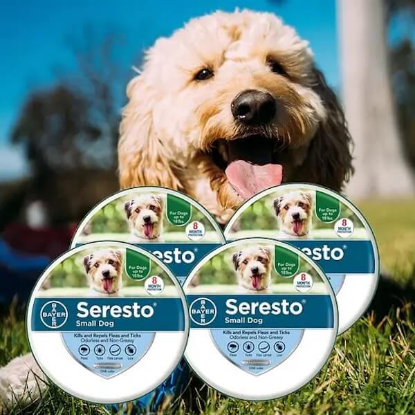 Flea and Tick Collars for Small and Large Dogs and Cats - Provides 8 Months of Protection and is Vet-Recommended