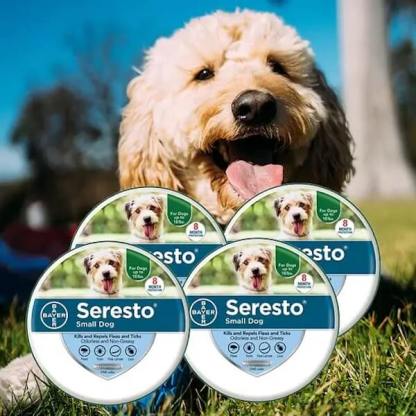 Flea and Tick Collars for Small and Large Dogs and Cats - Provides 8 Months of Protection and is Vet-Recommended