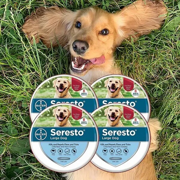 Flea and Tick Collars for Small and Large Dogs and Cats - Provides 8 Months of Protection and is Vet-Recommended