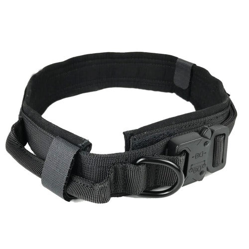 Rugged Dog Collar