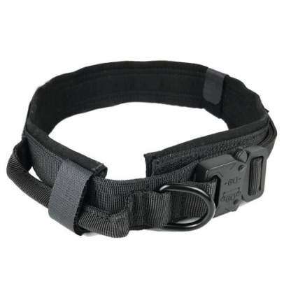Rugged Dog Collar