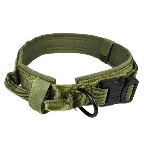 Rugged Dog Collar