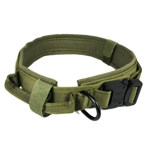 Rugged Dog Collar