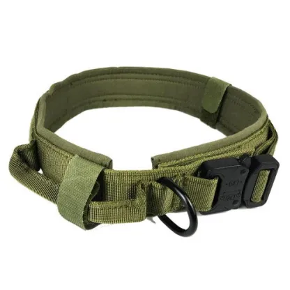 Rugged Dog Collar