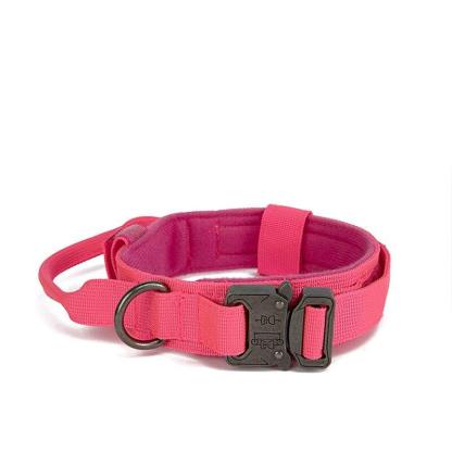 Durable Dog Collar